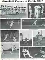 Baseball Team