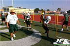 picture 003